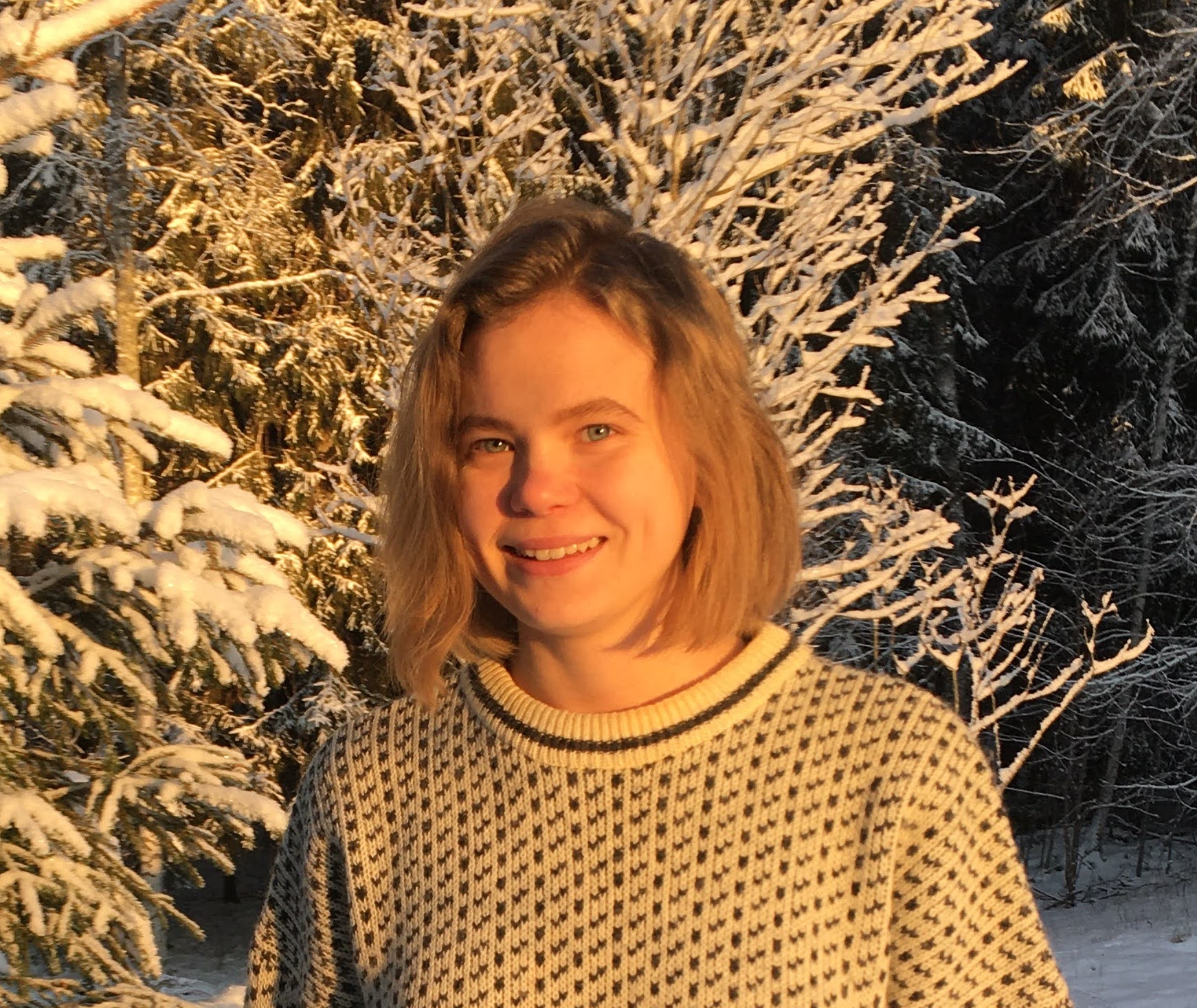 me winter mökki